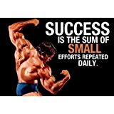 Fantaboy Body Builder Quotes like poster (Non Tearable Synthetic Material) 13x19 inch, Poster- BDP-8