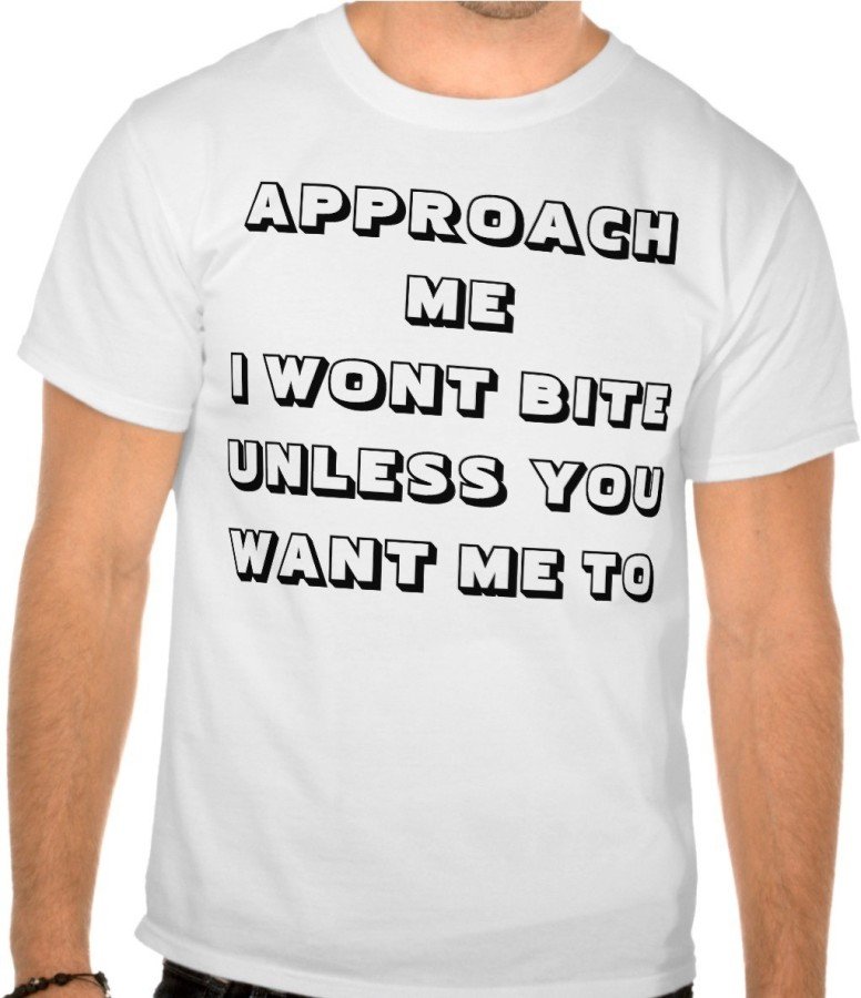 Fantaboy Approach... Printed T-Shirt