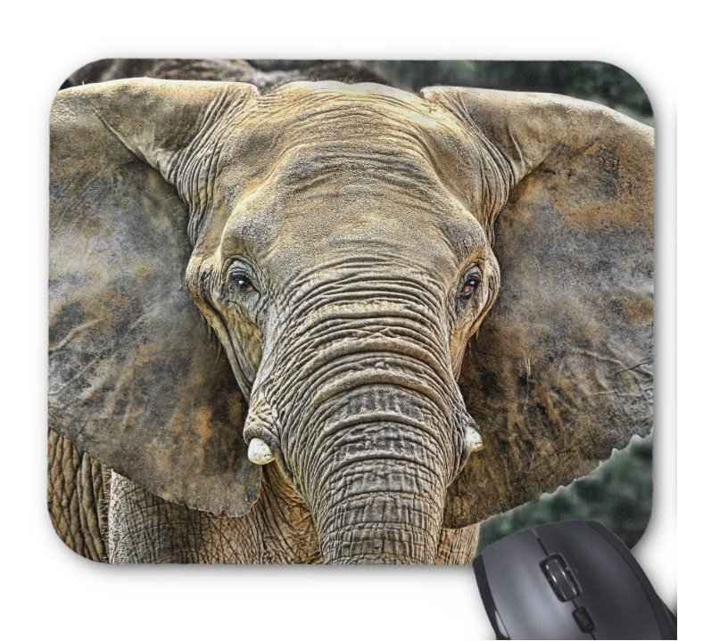 Fantaboy Elephant African All Ears Mouse Pad