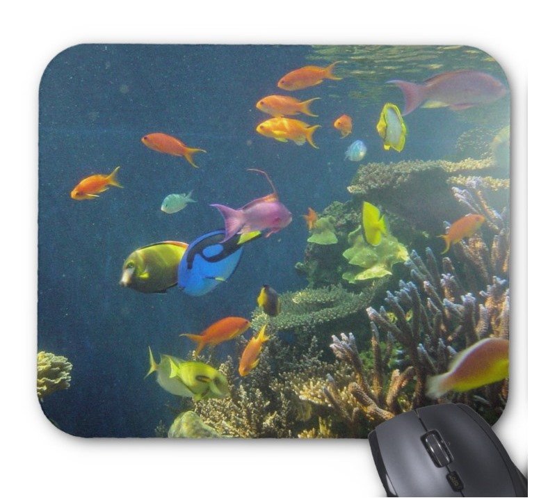 Fantaboy Hawaiian Tropical Fish Mouse Pad