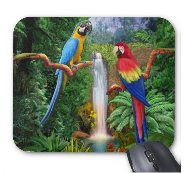 Fantaboy Macaw Tropical Parrots Mouse Pad